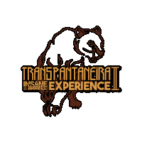 Ire Sticker by 100k Experience