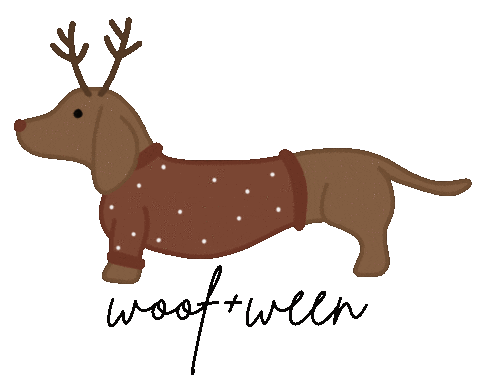 Dachshund Doxie Sticker by WOOF+WEEN