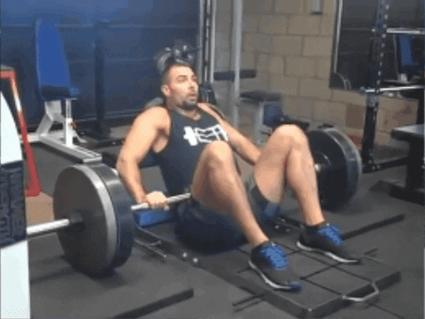 fitguide giphygifmaker GIF