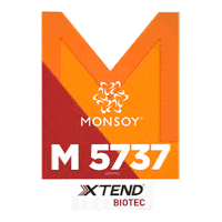 Monsoy Sticker by intactarr2pro