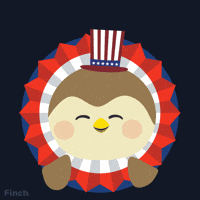 Independence Day Celebration GIF by Finch Care