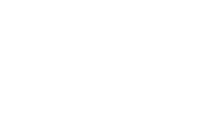 MacawBrasil agencia transparente macaw agencia de publicidade Sticker