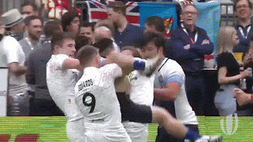 Go Home Worldrugby2019Gifstoremove GIF by World Rugby