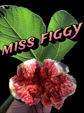 Fig GIF by Efecantarim