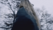undrunk GIF by FLETCHER