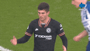 Chelsea Ligainggris GIF by MolaTV