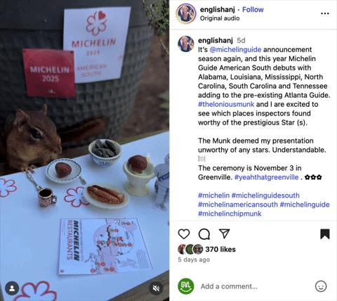 barilladm1 giphyupload GIF