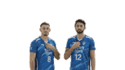 Kovo Vleague Sticker by SAMSUNG BLUEFANGS VOLLEYBALL CLUB