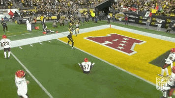 National Football League GIF by NFL