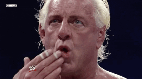 Ric Flair Sport GIF by WWE