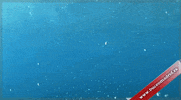 Padi Apnea GIF by Buceo Madrid