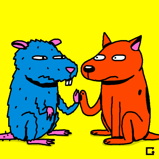 GIF by gifnews