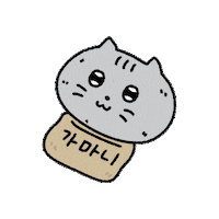 rinzzang happy cat lazy rest Sticker