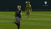 GIF by Pac-12 Network