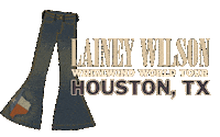 Wild Horses Texas Sticker by Lainey Wilson