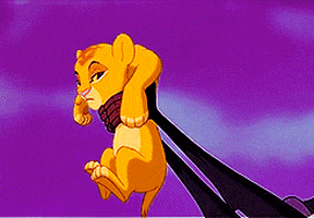 the lion king GIF