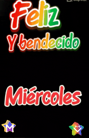 Sea Flores GIF by Murcianys LLC