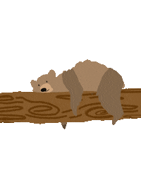 Sleepy Grizzly Bear Sticker
