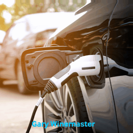 garyswinemaster giphygifmaker GIF