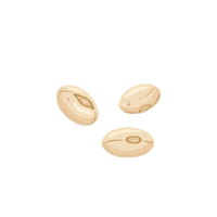 TOTVSAGRO agro agronegocio totvs totver Sticker