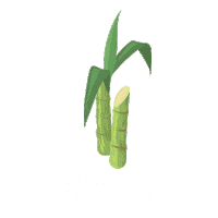 TOTVSAGRO agro agronegocio totvs bioenergia Sticker