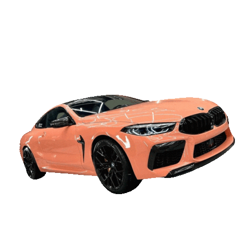 promomoto giphyupload bmw porky bmwm8 Sticker