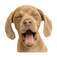 sleepy good night STICKER by imoji