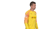 Posing Line Up Sticker by Bundesliga