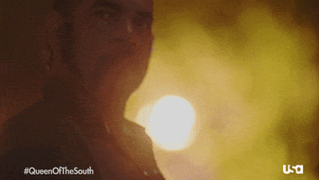 Usa Network Television GIF by Queen of the South
