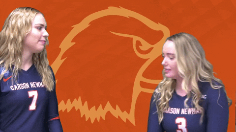 C-N Volleyball GIF by Carson-Newman Athletics
