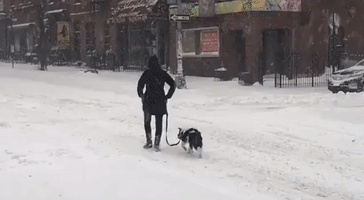 Powerful Storm Blankets New York City in Snow