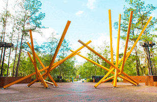 French Fries Art GIF by University of Florida