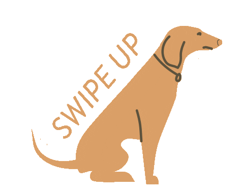 swipe up good boy Sticker by The Commons