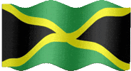 Toronto Jamaica GIF