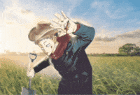 Jujutsu Kaisen Jjk GIF