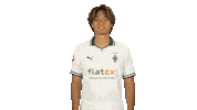 Borussia Monchengladbach Wink Sticker by Bundesliga