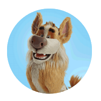 Clubealfa Sticker by Cooperalfa