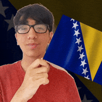 Holding Bosnia And Herzegovina GIF