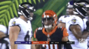 2018 Nfl Football GIF by NFL