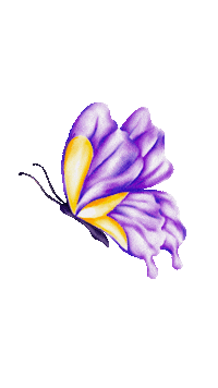 Butterfly Sticker