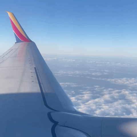 Southwest Airlines Love GIF