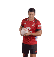 Super Rugby Sticker by CrusadersRugbyTeam