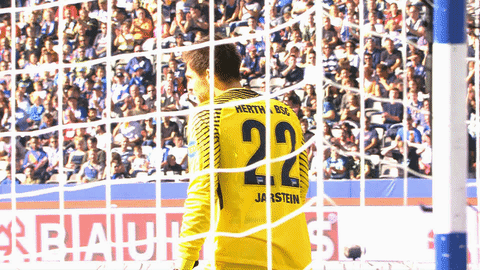 bundesliga pound it GIF by Hertha BSC