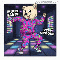 Happy Get Down GIF by Doge Pound
