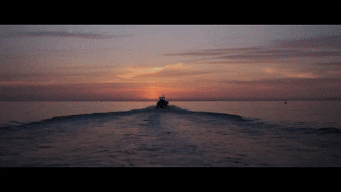 Trip Oceanvibes GIF by VVS FILMS