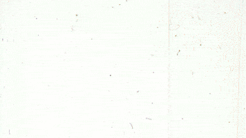 Tadashi Shoji - Let's Start The Show!