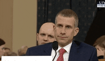 news impeachment impeachment inquiry steve castor GIF