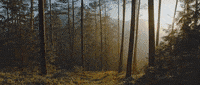 Vfx GIF by ActionVFX