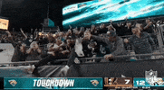 National Football League GIF by NFL