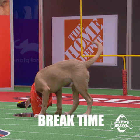 GIF by Puppy Bowl